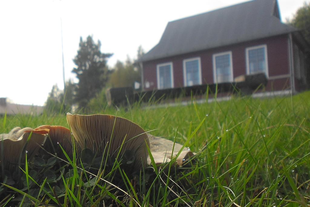 Hovra Vandrarhem Håvra Eksteriør billede